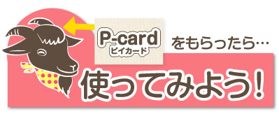 p-card-3.jpg