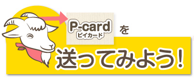 p-card-4.jpg